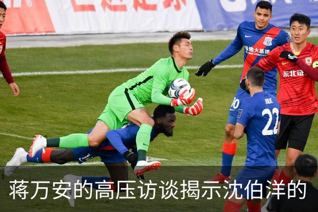 蒋万安的高压访谈揭示沈伯洋的“温和之路”并非冤屈